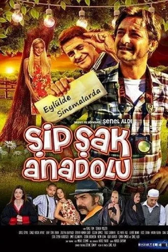 Şipşak Anadolu (2014) posteri