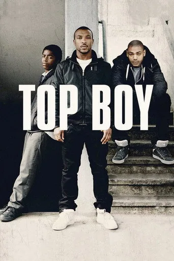 Top Boy (2011) posteri