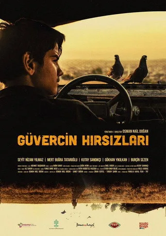 Güvercin Hırsızları (2018) posteri