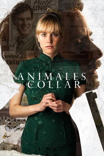 Animales sin collar (2018) posteri
