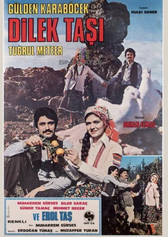Dilek Taşı (1978) posteri