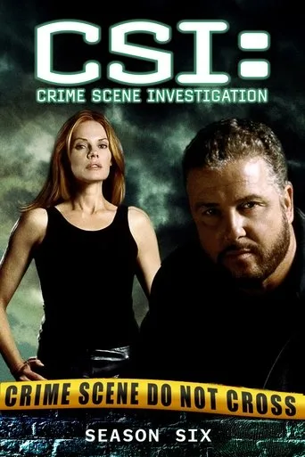 CSI: Crime Scene Investigation 6. sezon posteri