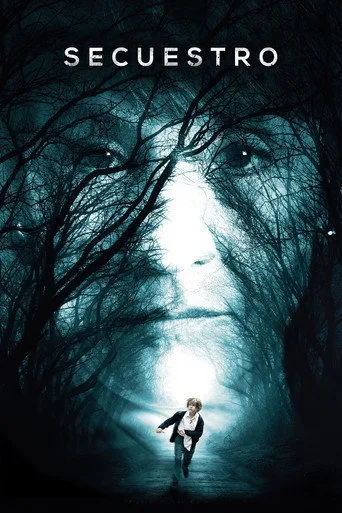 Kayıp Çocuk (2016) posteri