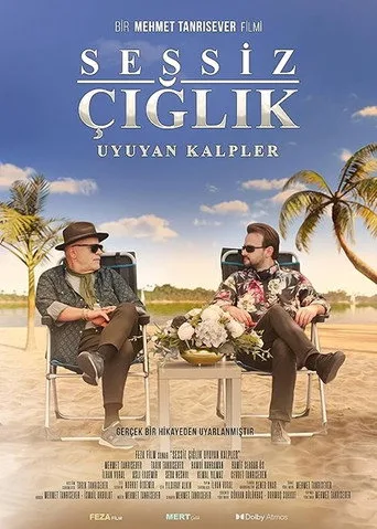 Sessiz Çığlık posteri
