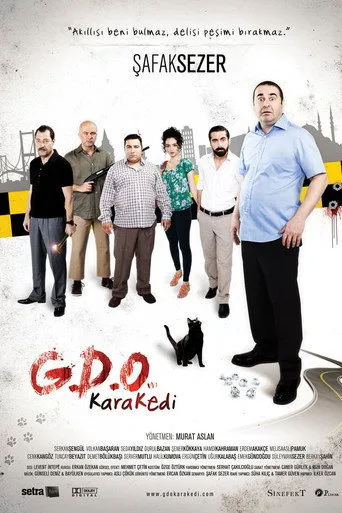 G.D.O. KaraKedi (2013) posteri