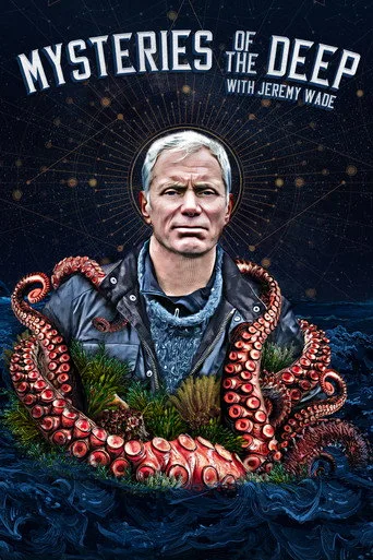Derindeki Gizem (2020) posteri