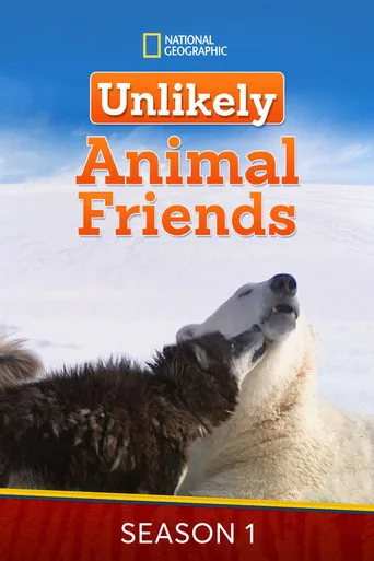 Vahşi Dostlar 1. sezon posteri