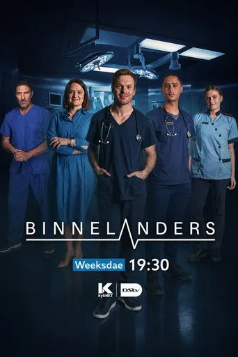 Binnelanders 22. sezon posteri