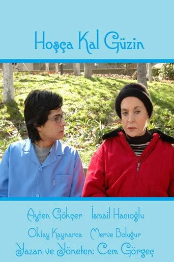 Hoşça Kal Güzin (2008) posteri