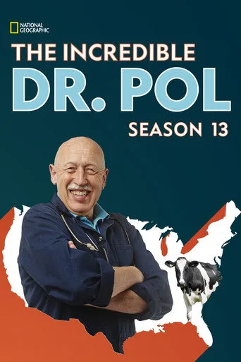 Yetenekli Doktor Pol 13. sezon posteri