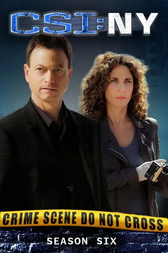 CSI: NY 6. sezon posteri