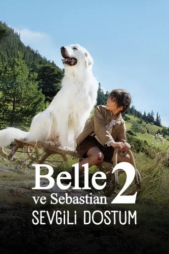 Sebastian Sevgili Dostum (2015) posteri