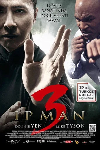 Ip Man 3 (2015) posteri