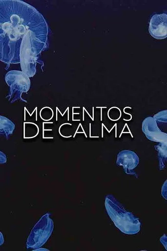 Momentos de calma (2025) posteri