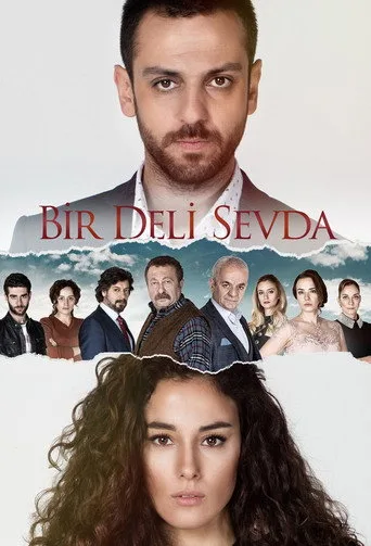 Bir Deli Sevda (2017) posteri