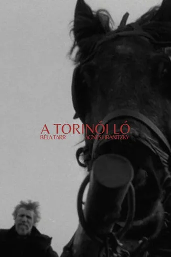Torino Atı (2011) posteri