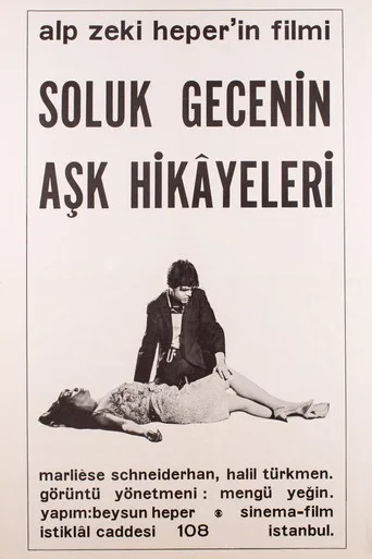 Soluk Gecenin Aşk Hikâyeleri (1966) posteri