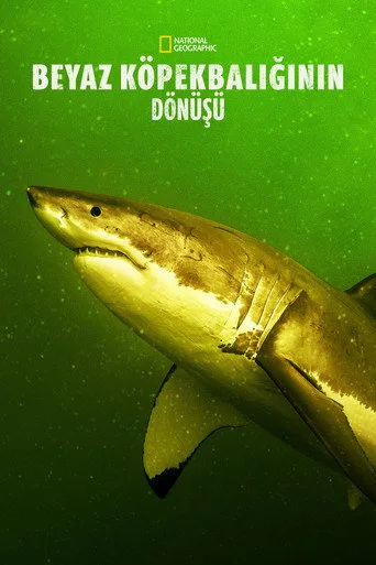 Beyaz Köpekbalığının Dönüşü (2023) posteri