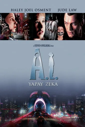 Yapay Zeka (2001) posteri