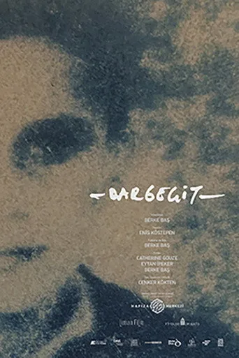 Dargeçit (2024) posteri