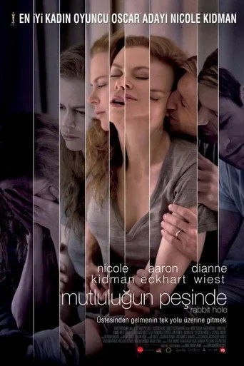 Mutluluğun Peşinde (2010) posteri