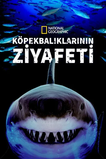 Köpekbalıklarının Ziyafeti (2019) posteri