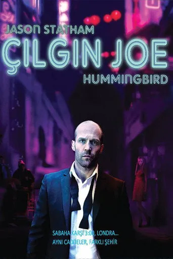 Çılgın Joe (2013) posteri