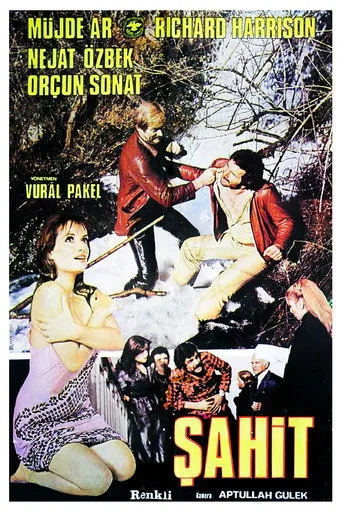 Şahit (1978) posteri