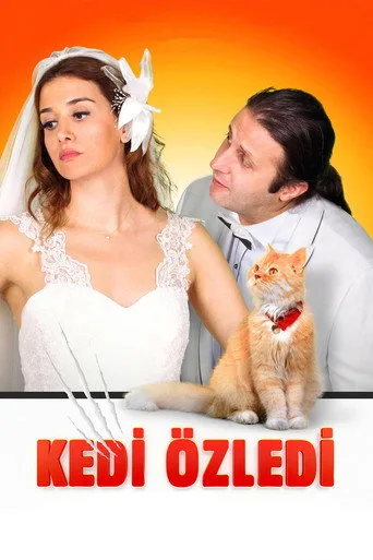 Kedi Özledi (2013) posteri