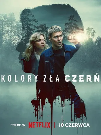 Kötülüğün Rengi: Siyah (2026) posteri
