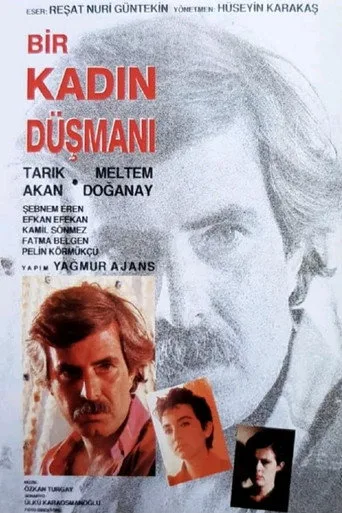 Bir Kadın Düşmanı (1991) posteri