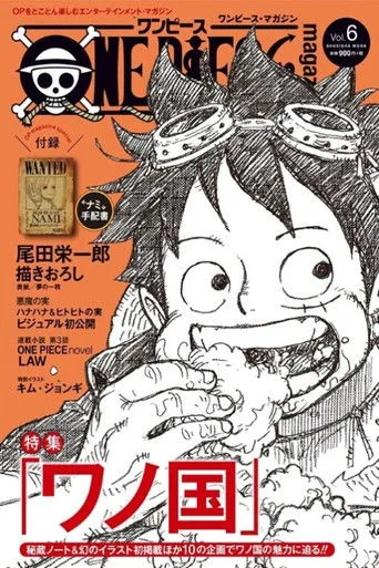 One Piece 15. sezon posteri