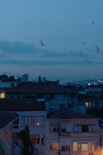 Yanıltıcı Derinlikler (2023) posteri