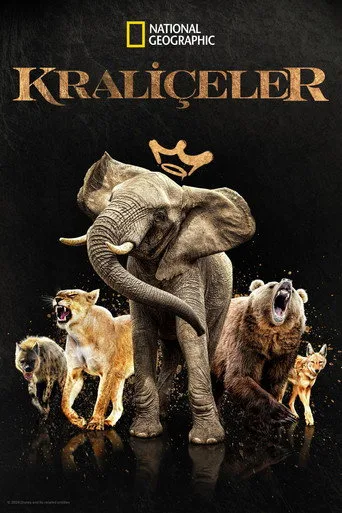 Kraliçeler (2024) posteri
