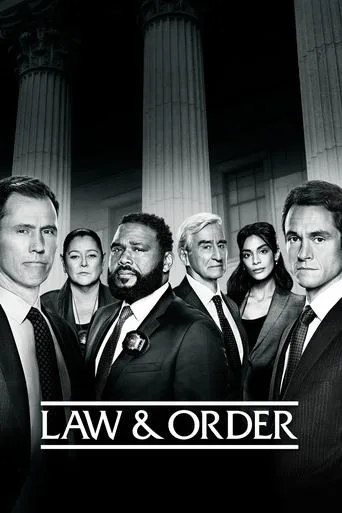 Law & Order 21. sezon posteri
