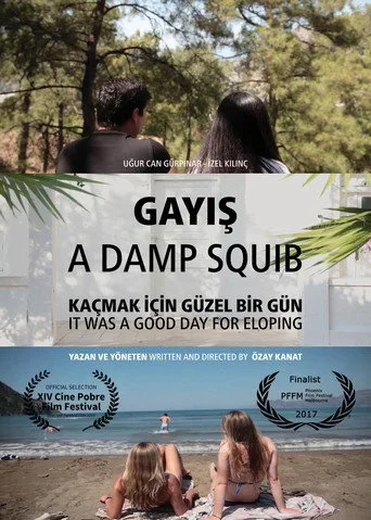 Gayış (2017) posteri