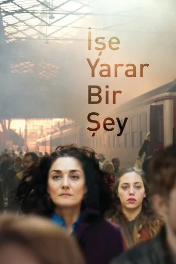 İşe Yarar Bir Şey (2017) posteri