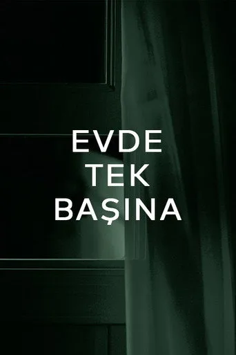 Evde Tek Başına (2017) posteri