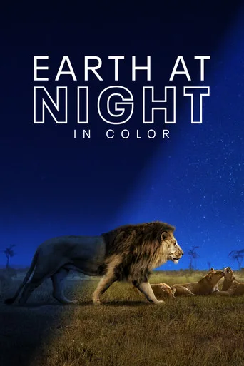 Earth at Night in Colour 1. sezon posteri