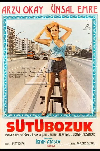 Sütü Bozuk (1976) posteri