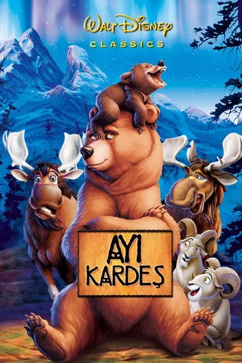 Ayı Kardeş (2003) posteri