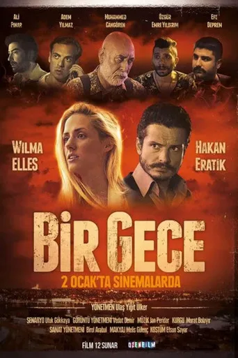 Bir Gece posteri