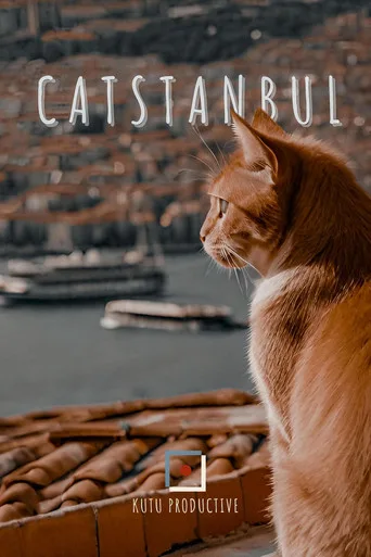 Catstanbul (2024) posteri
