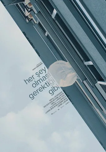 Her Şey Olması Gerektiği Gibi (2021) posteri