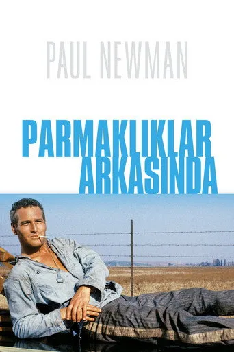Parmaklıklar Arasında (1967) posteri