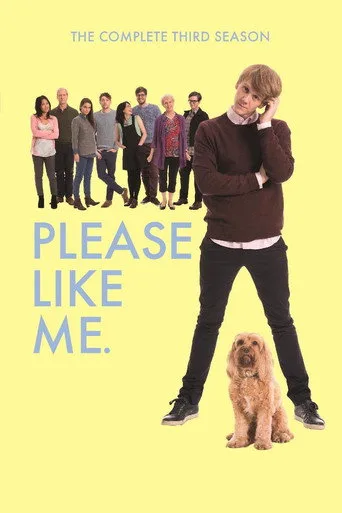 Please Like Me 3. sezon posteri