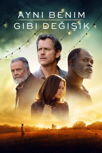 Aynı Benim Gibi Değişik (2017) posteri