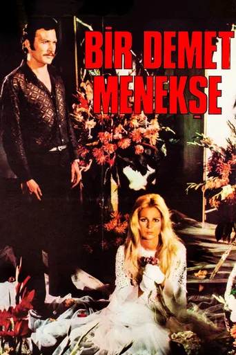 Bir Demet Menekşe (1973) posteri