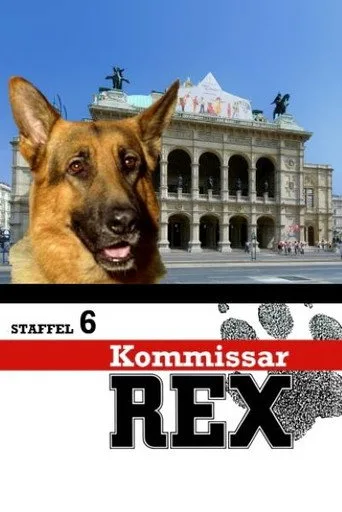 Kommissar Rex 6. sezon posteri