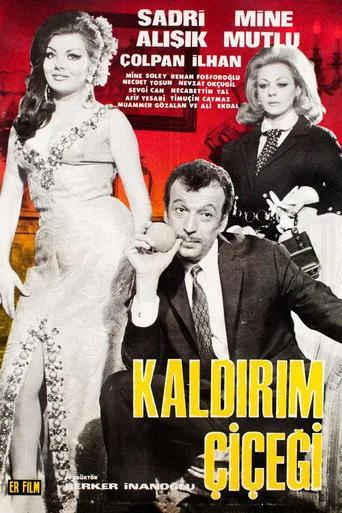 Kaldırım Çiçeği (1969) posteri